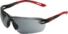 Eyevex SSP-1011 Safety Spectacles, Anti-Fog